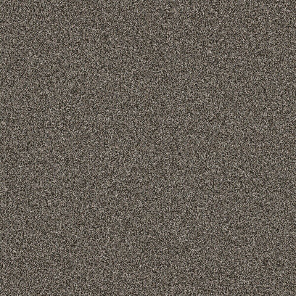 Amazing Cafe Noir carpet