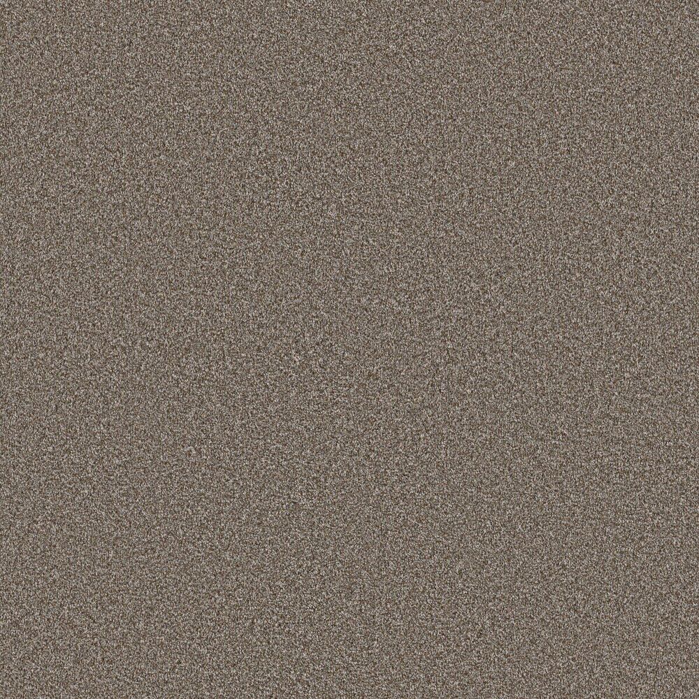 Amazing Cashmere carpet