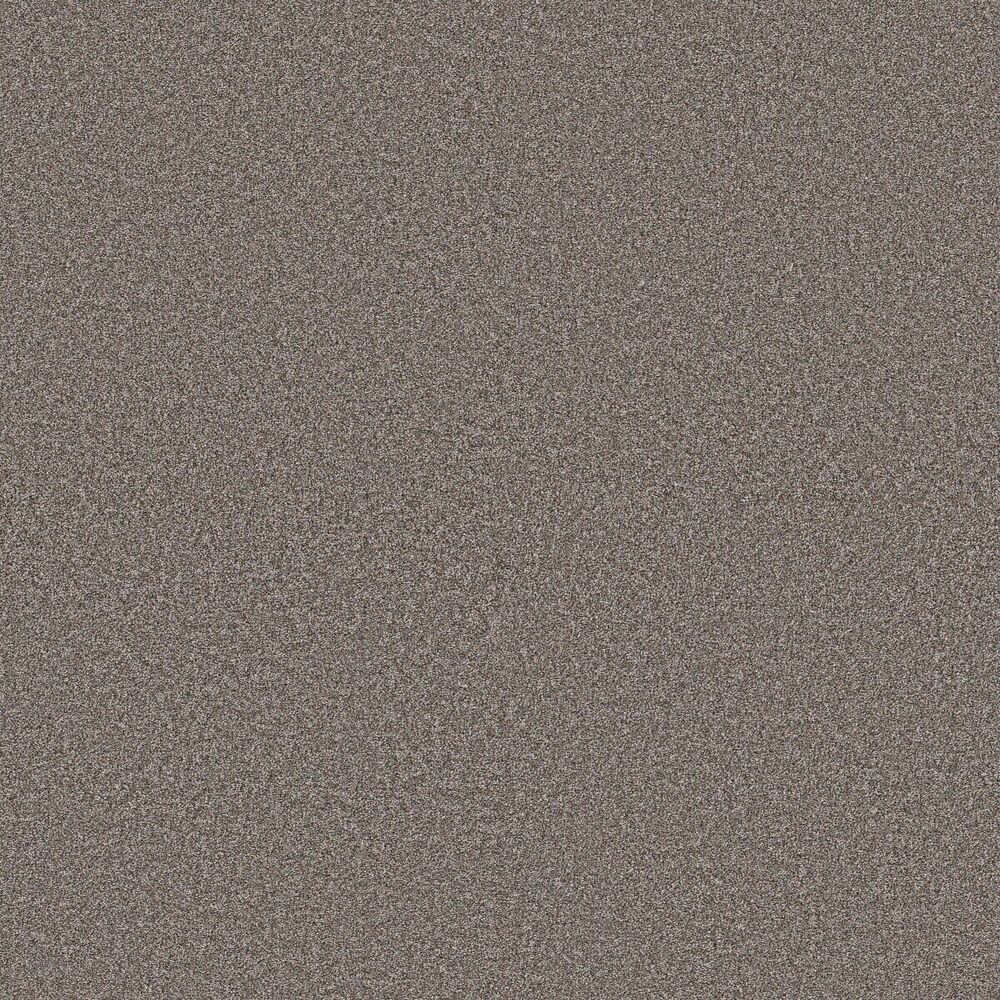 Amazing Midnight Brown carpet