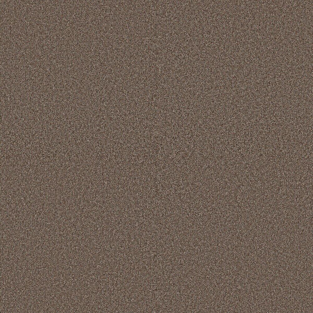 Amazing Orange Oxide carpet