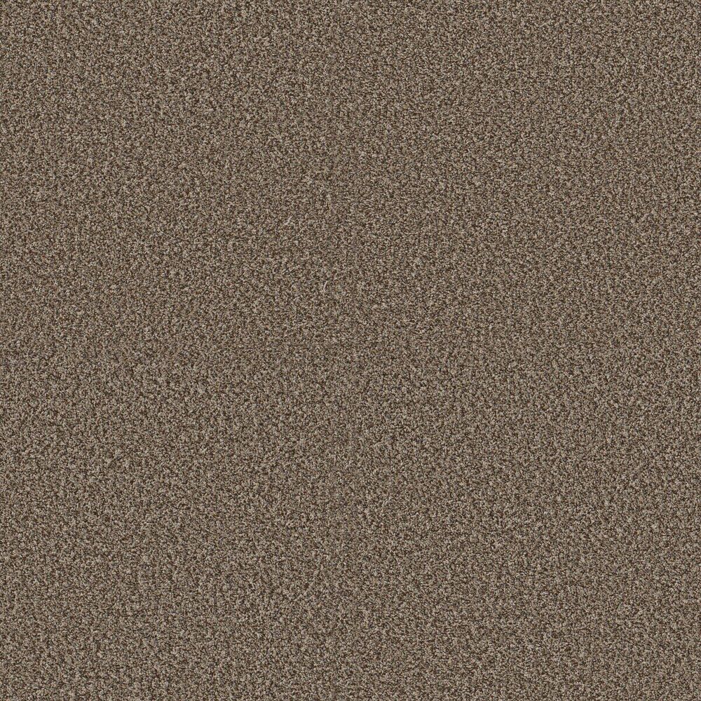Awesome Freckles carpet
