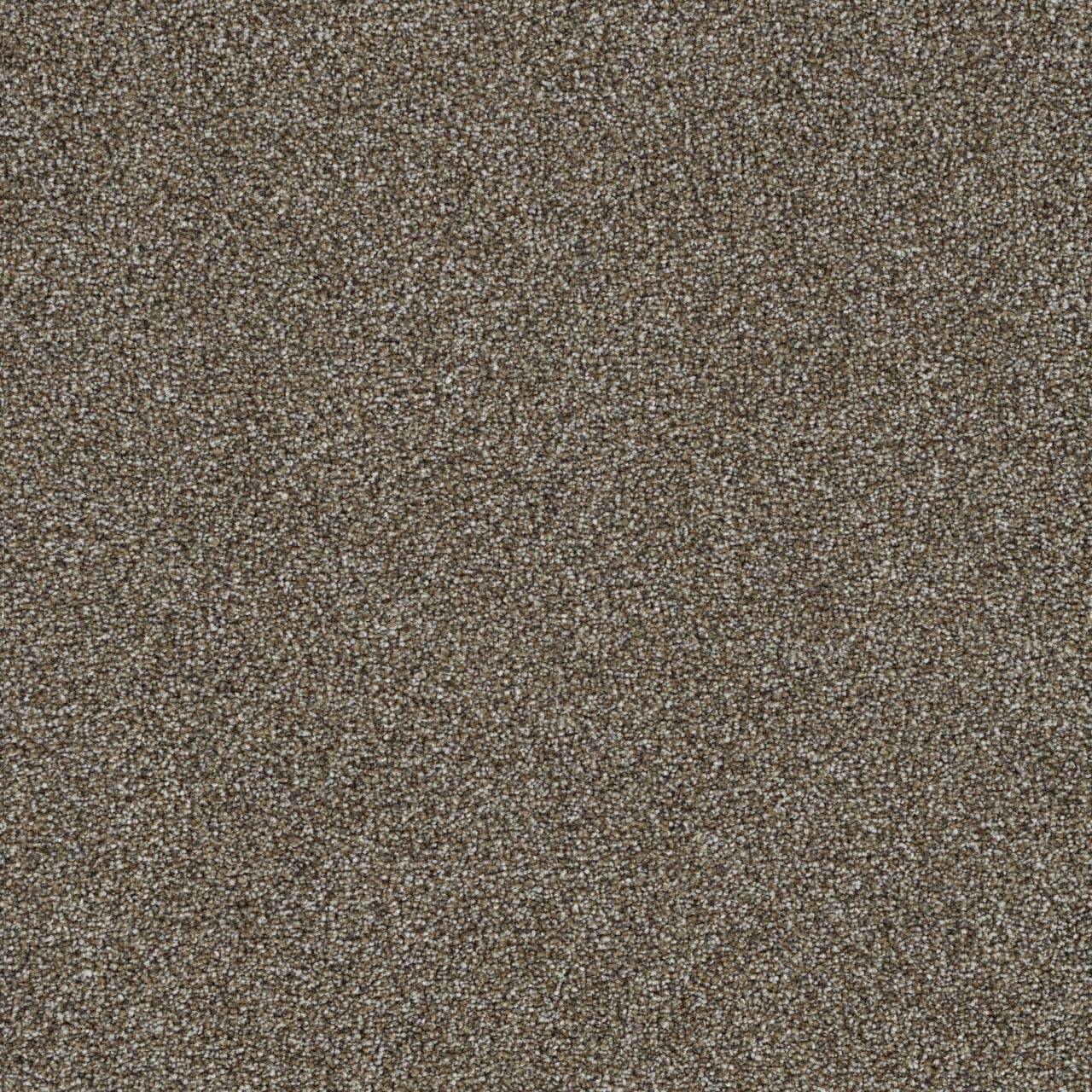 Everlasting Baseline carpet, color 2248