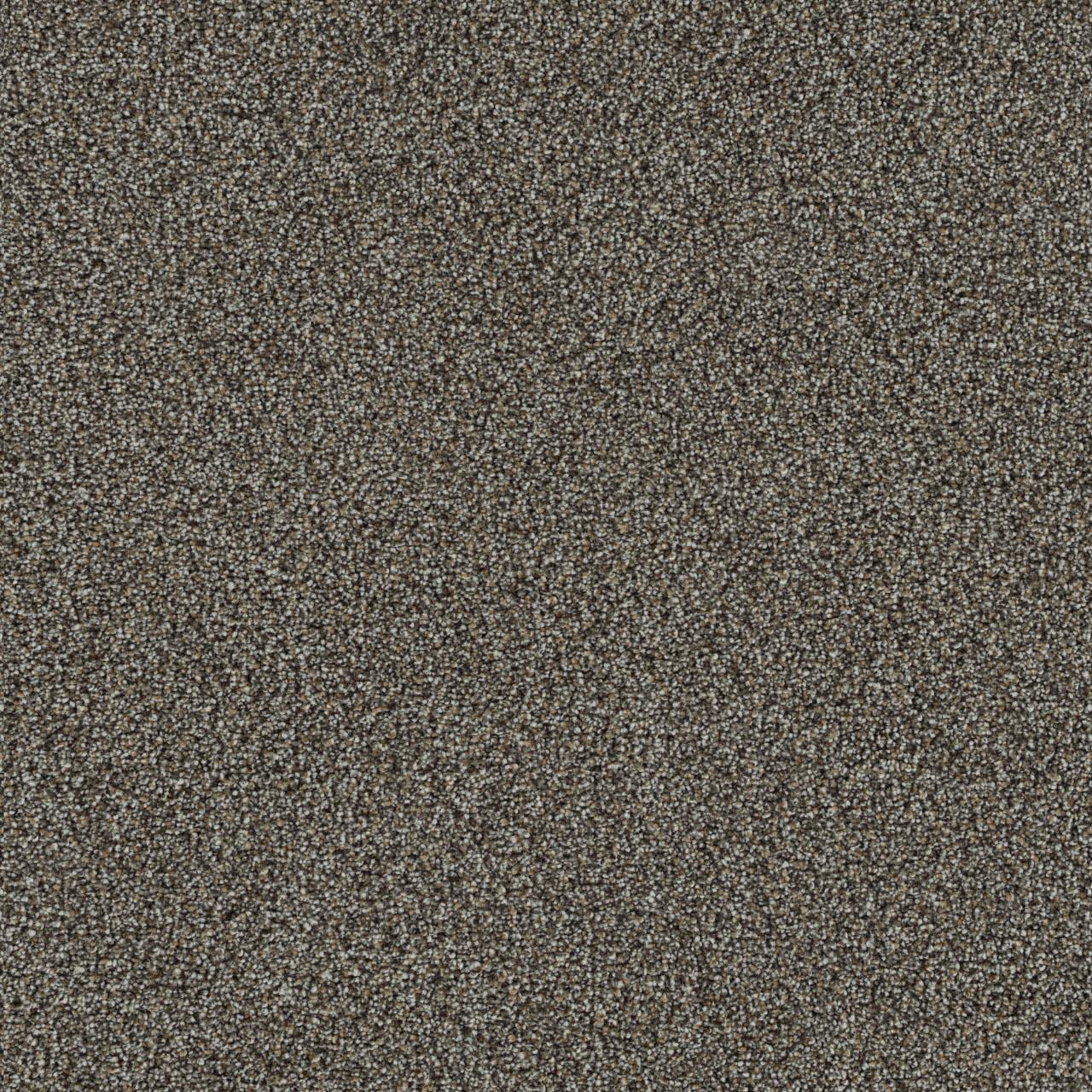 Everlasting Turnabout carpet, color 2404