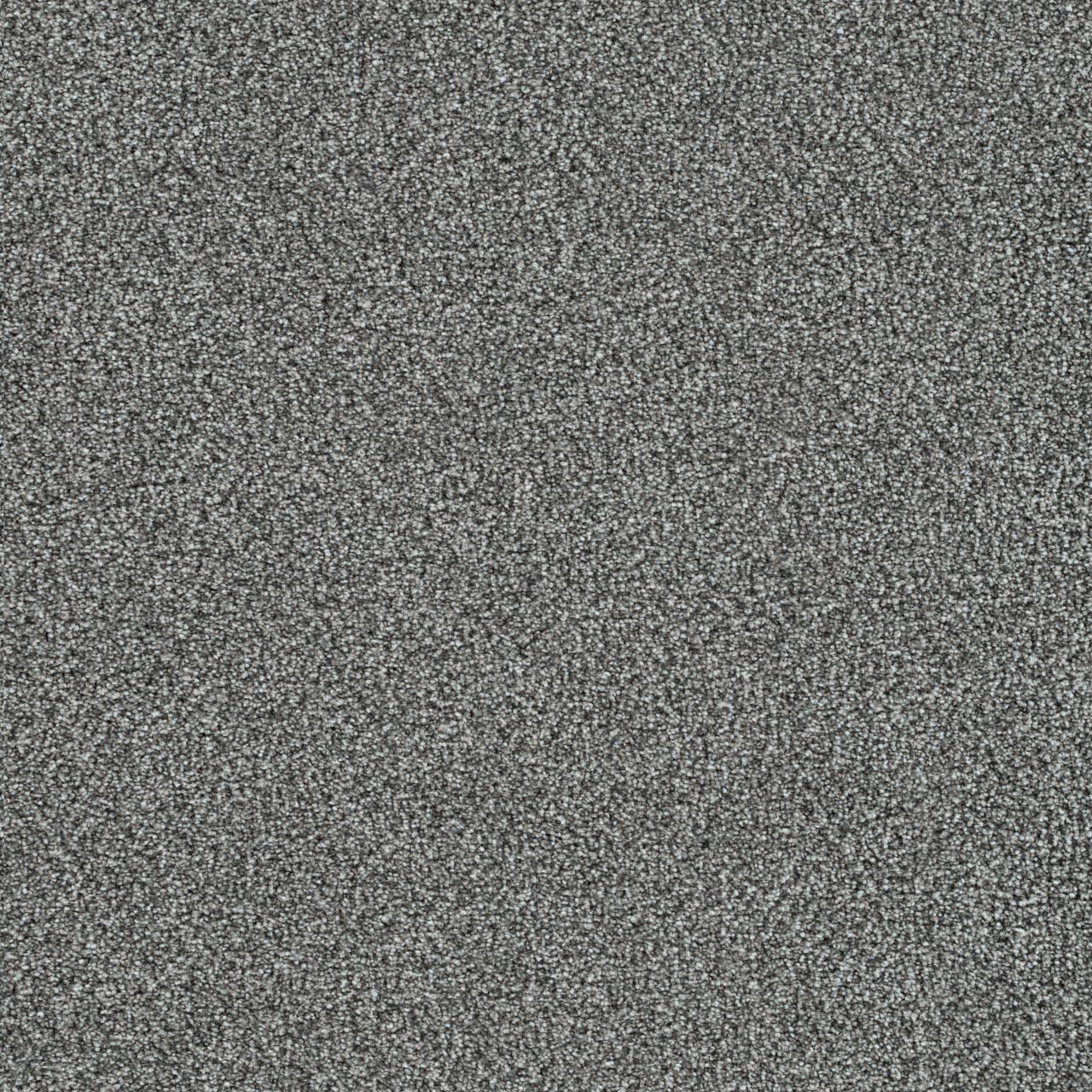 Everlasting Force Field carpet, color 2532