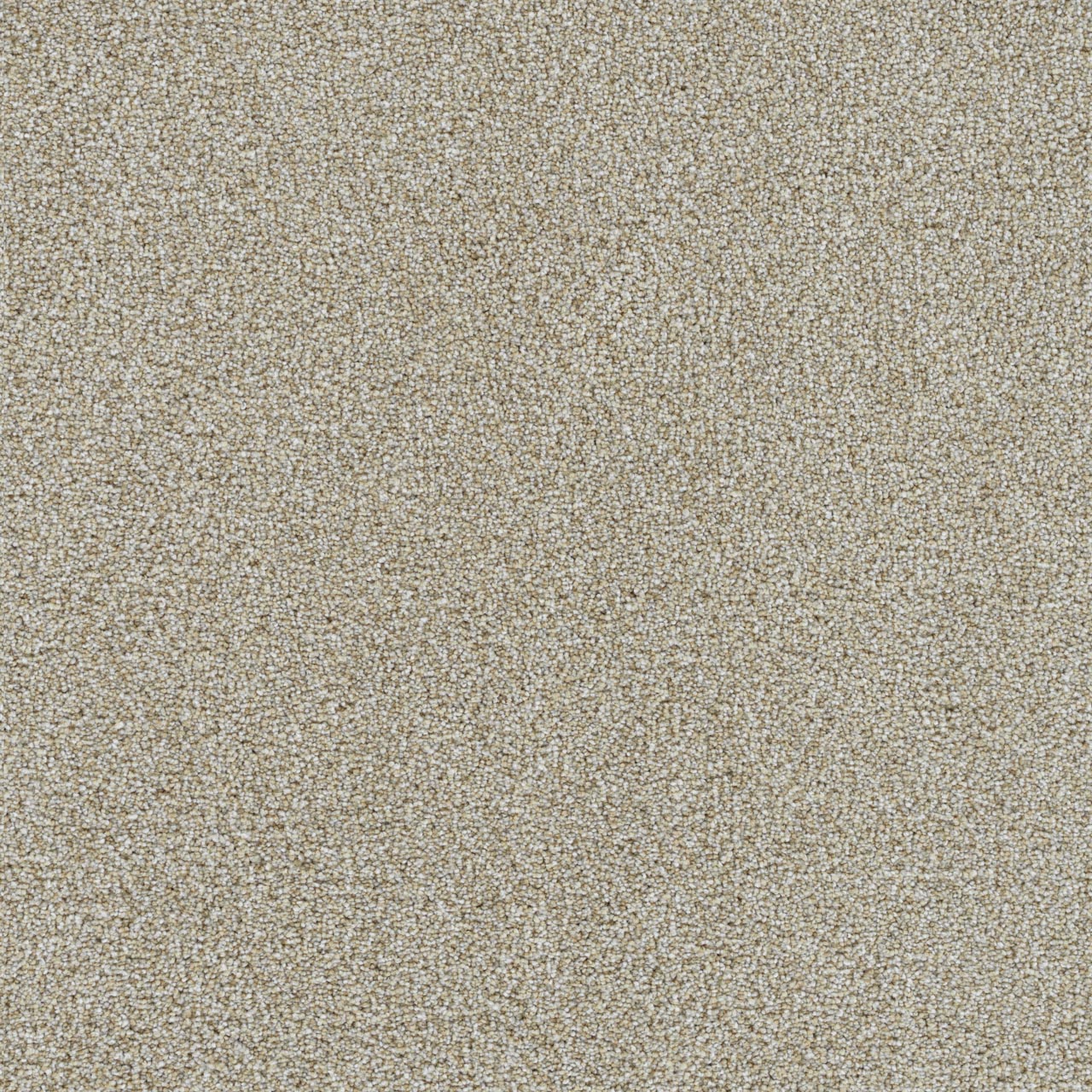 Everlasting Sugarland carpet, color 4102