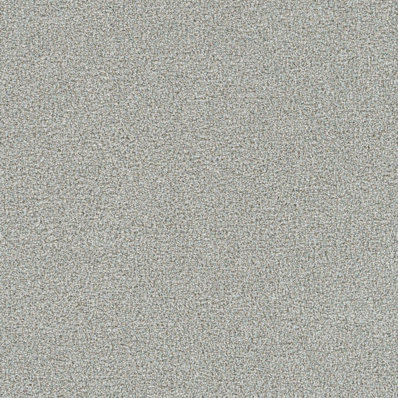 Everlasting Alpha carpet, color 4111