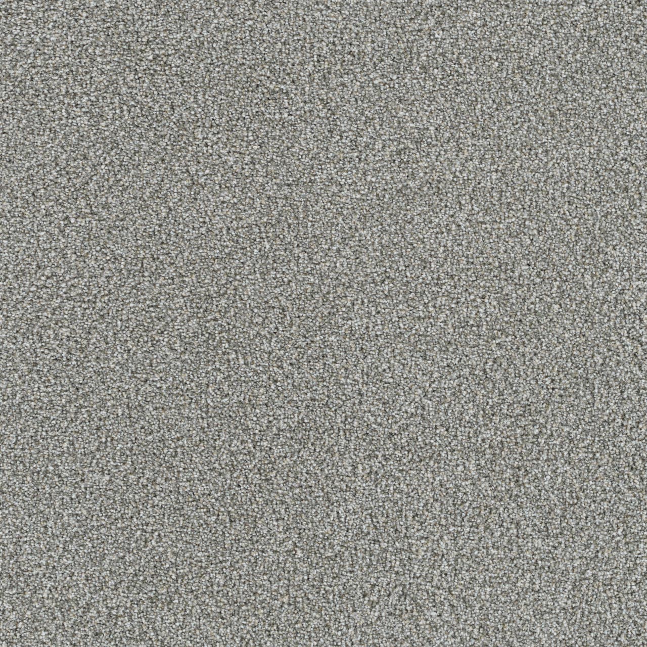 Everlasting Cadence carpet, color 4711