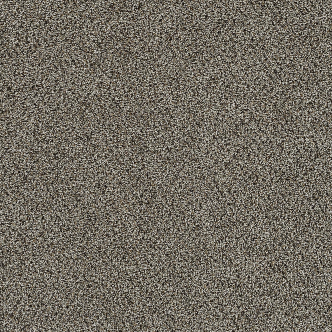Everlasting Boardwalk carpet, color 4963