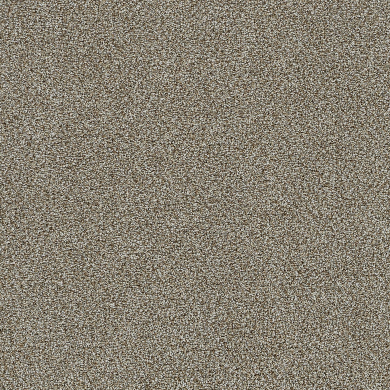 Everlasting Bold Nature carpet, color 5036