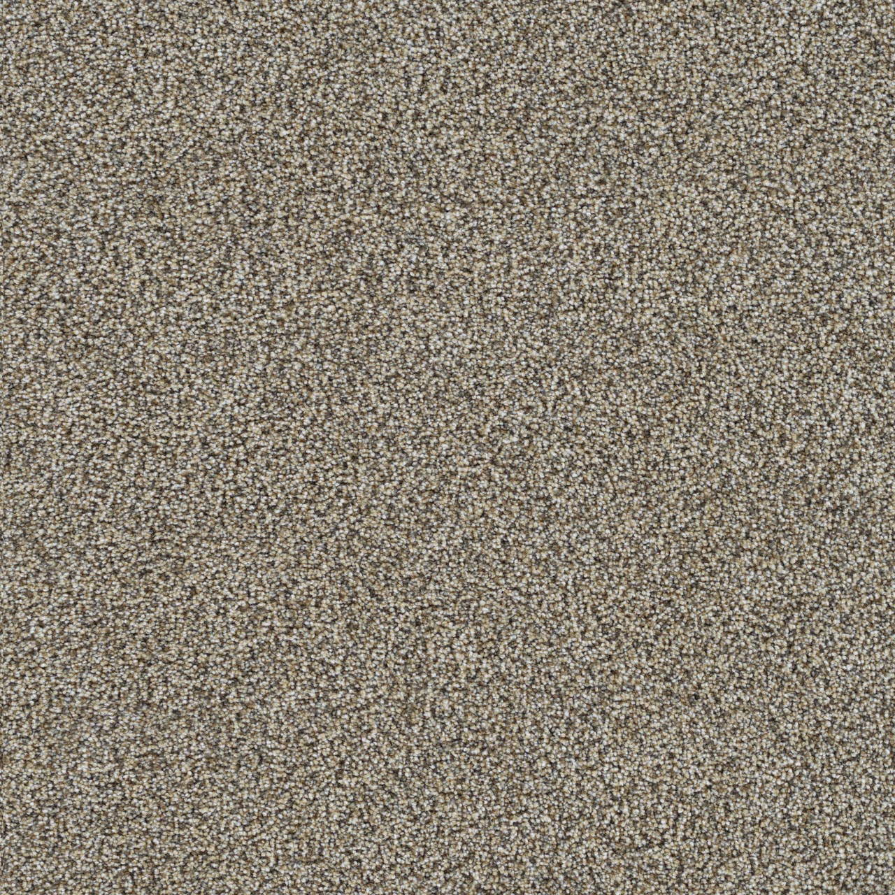 Everlasting Amherst carpet, color 5114
