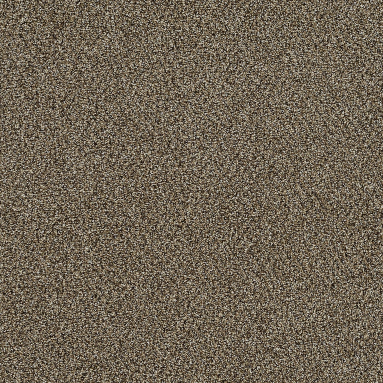 Everlasting Prescott carpet, color 5202