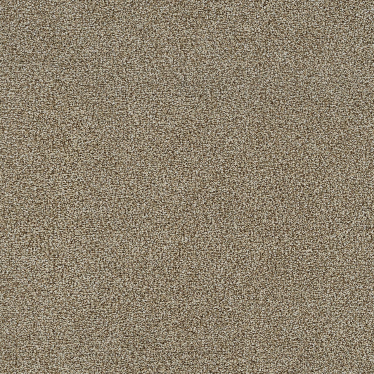 Everlasting Butterscotch carpet, color 5288