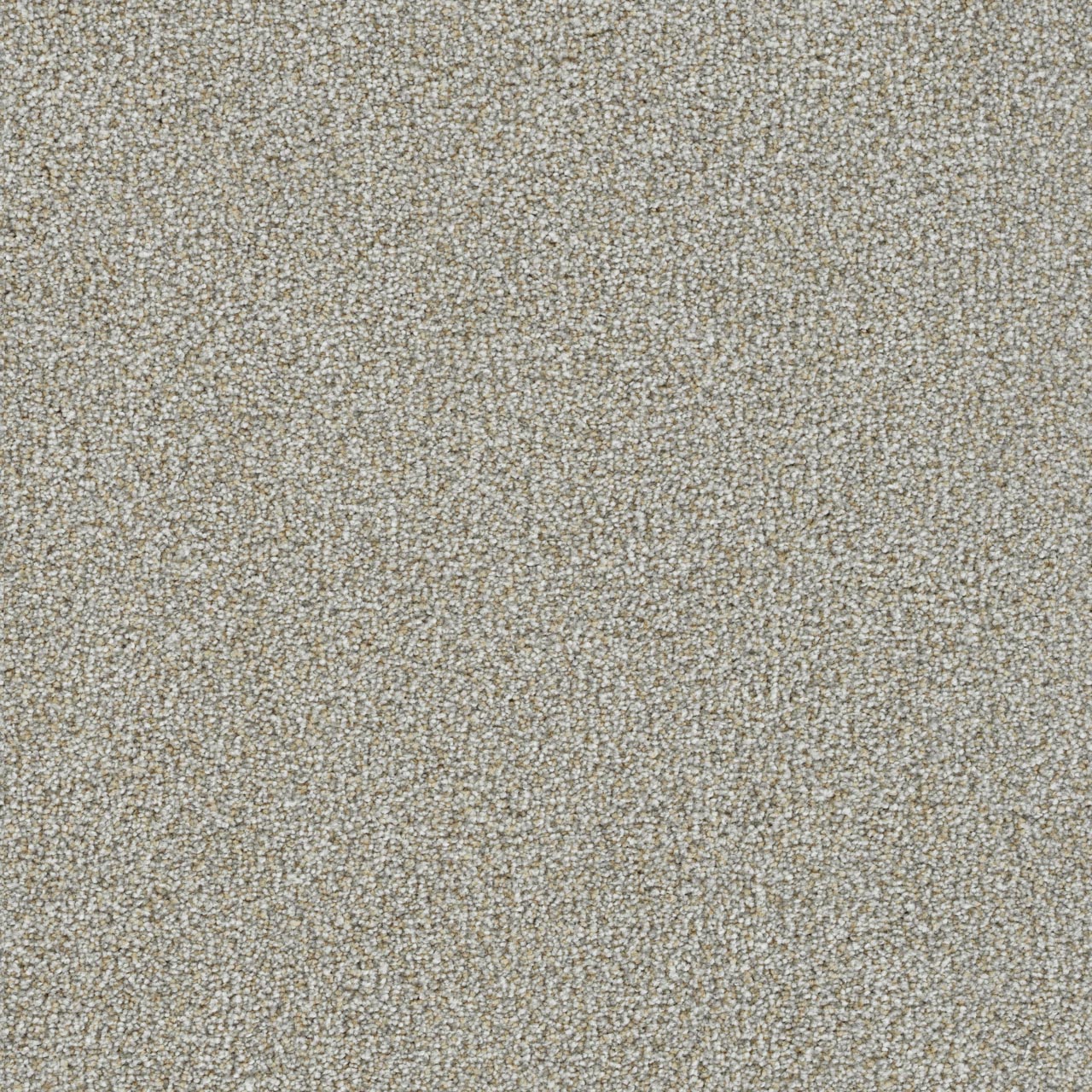 Everlasting Tortola carpet, color 5320