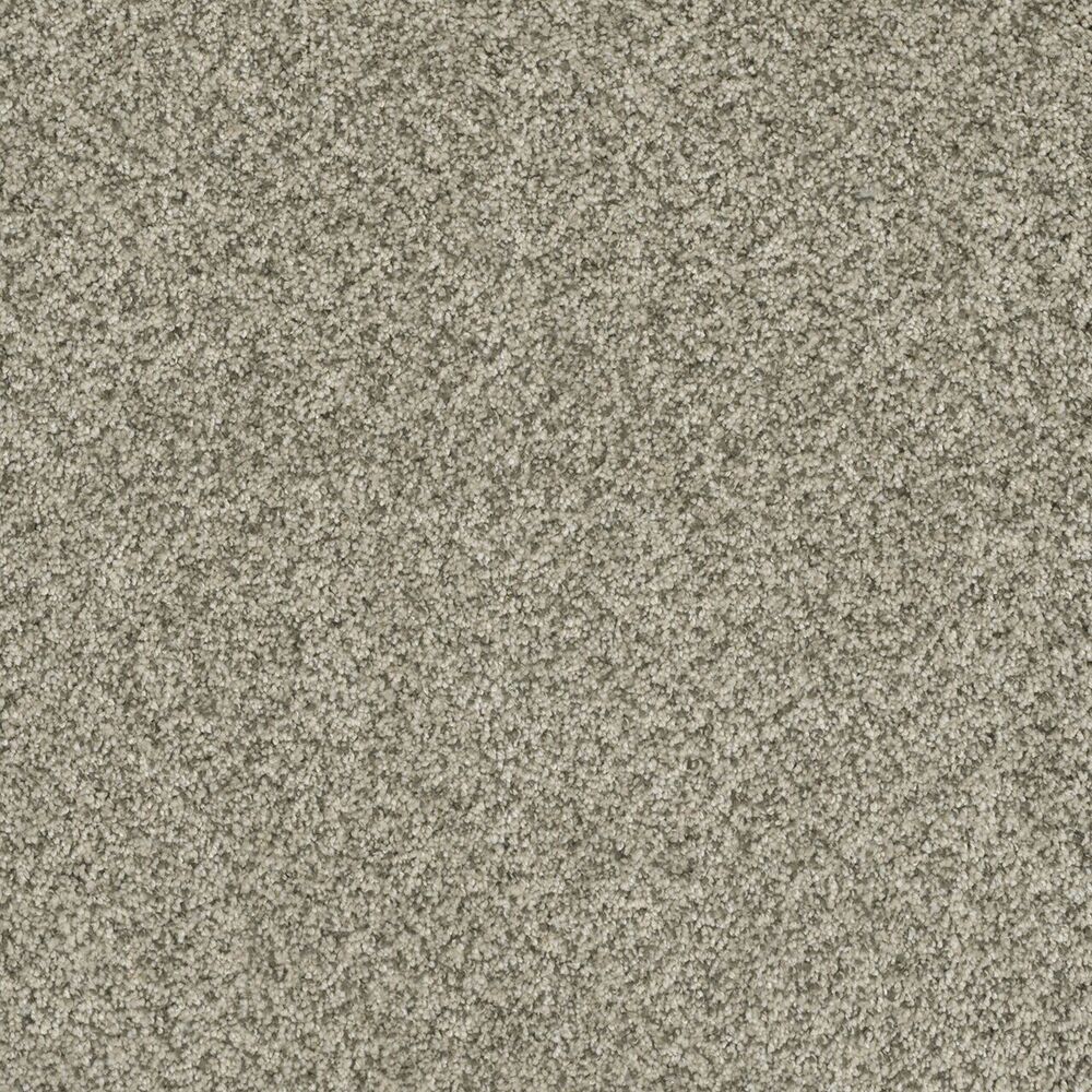 Inviting Acadia carpet