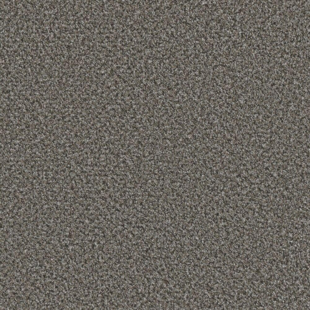 Inviting Bayou carpet