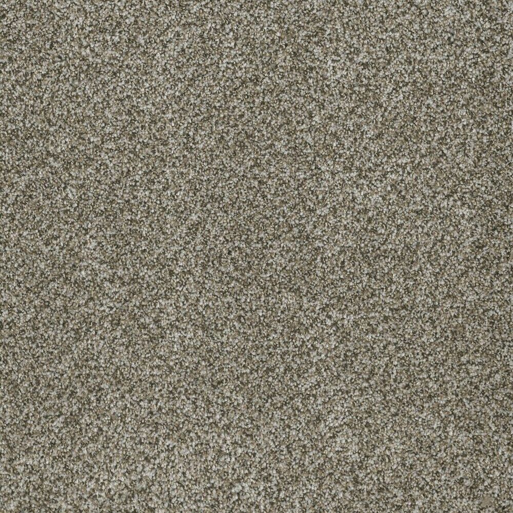Inviting Moonshine carpet