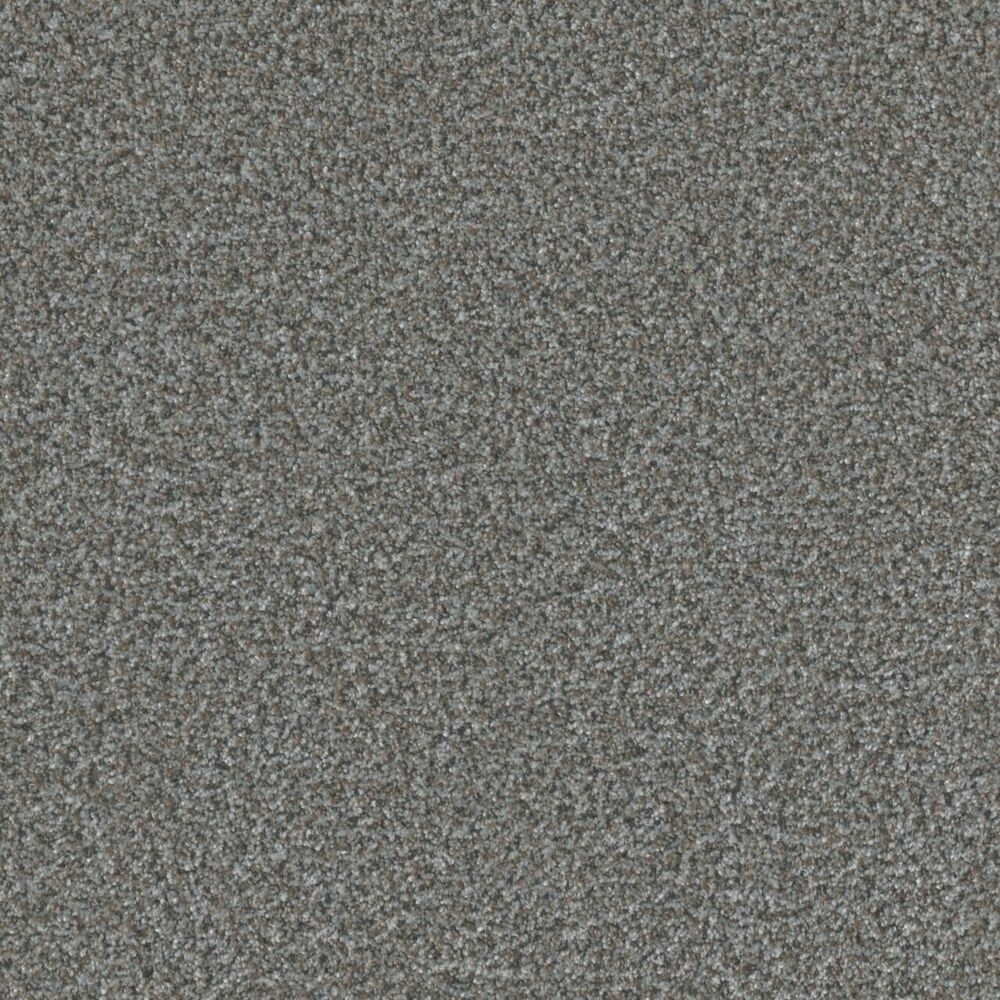 Inviting Sea Sparkle carpet