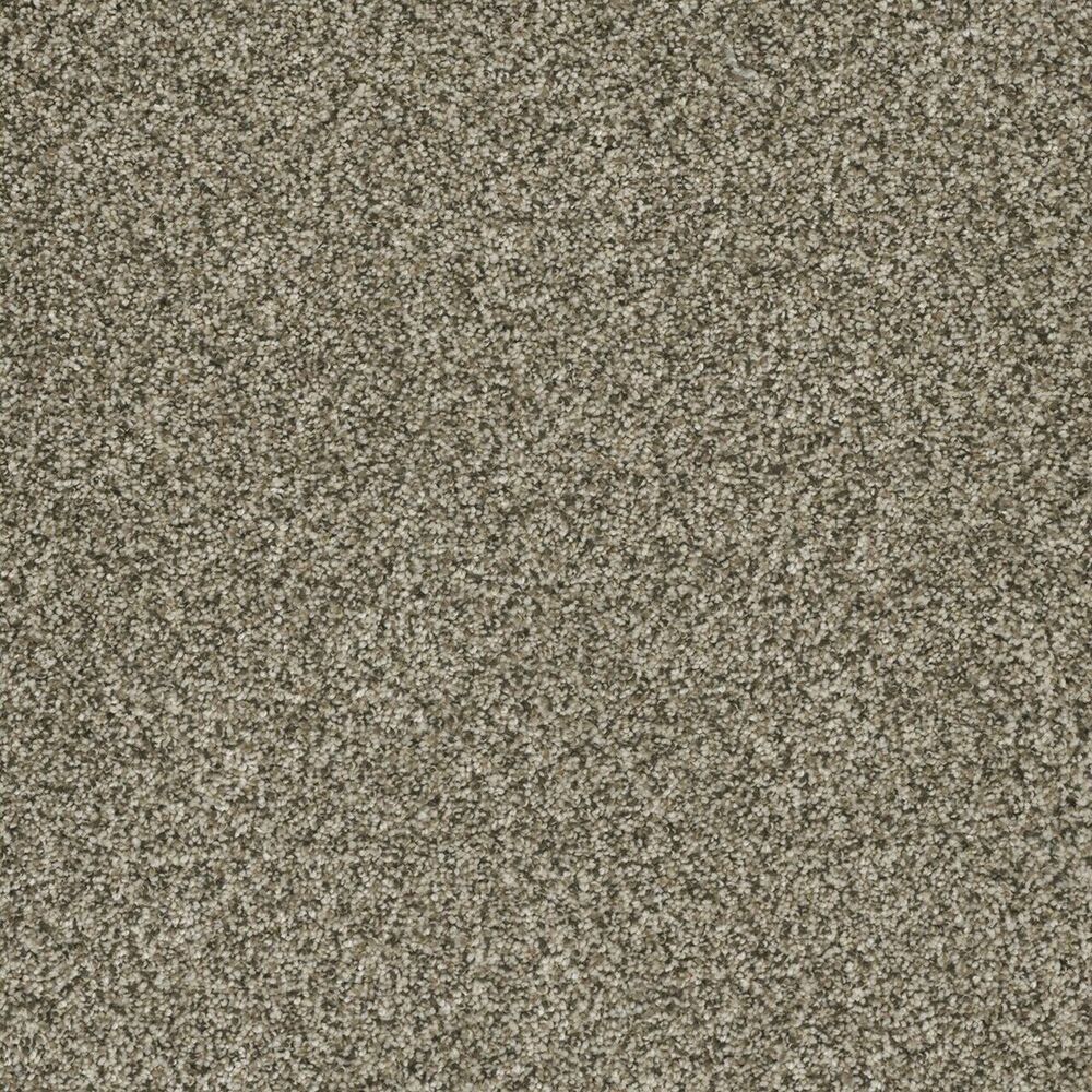Inviting Sedona carpet