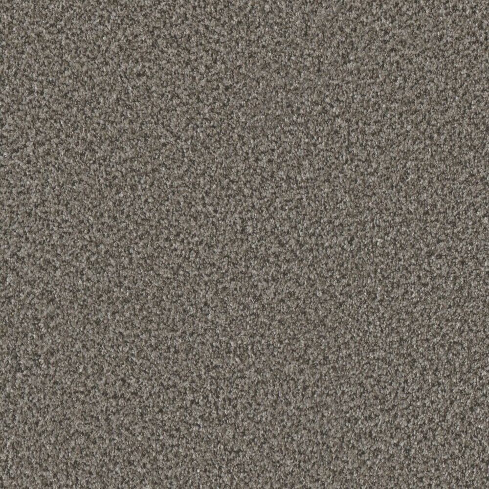 Inviting Windswept carpet