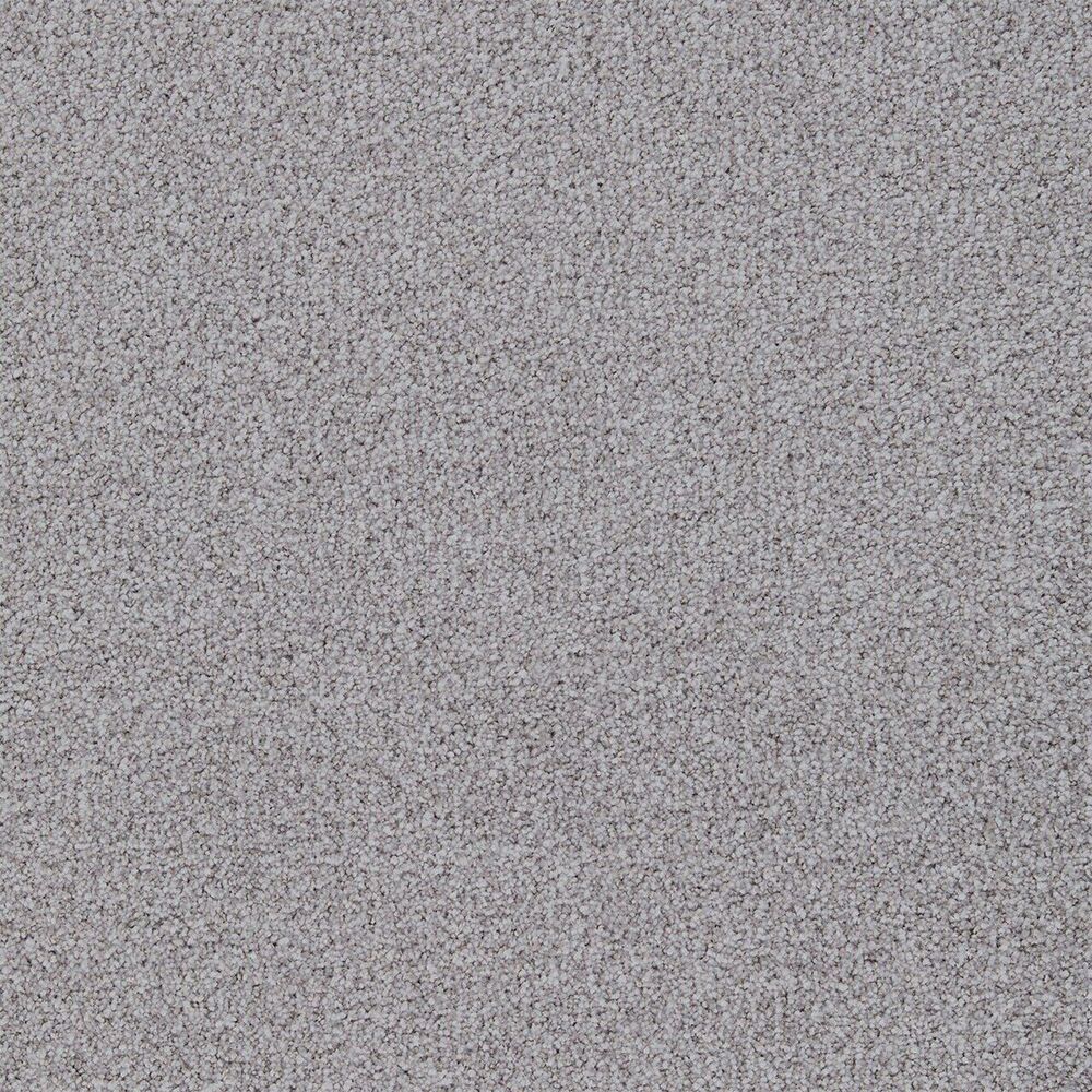 Jackpot carpet in Winterbrooke