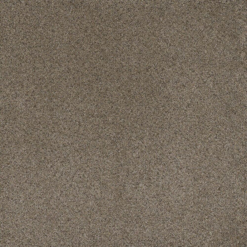 Oasis Cinnabar carpet
