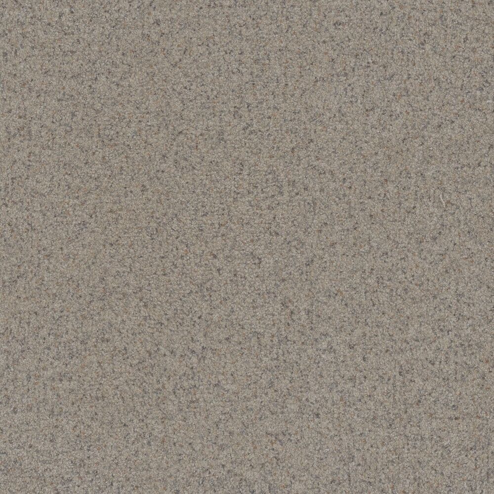 Oasis Cottondale carpet