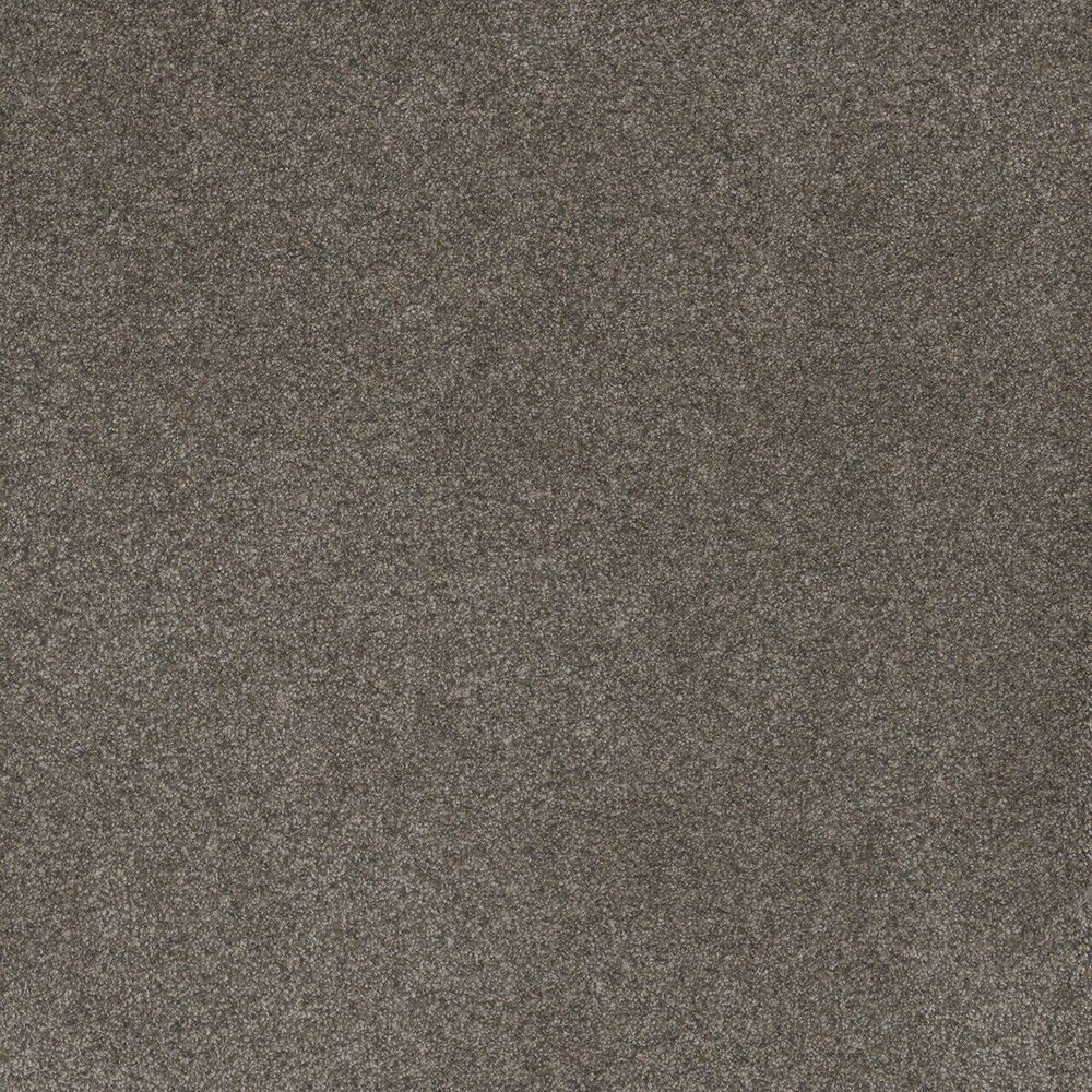 Oasis Ridgeview carpet