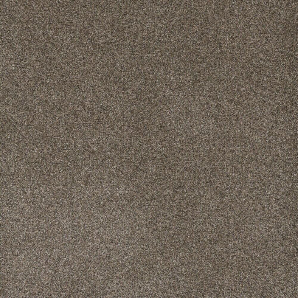 Oasis Shellbark carpet