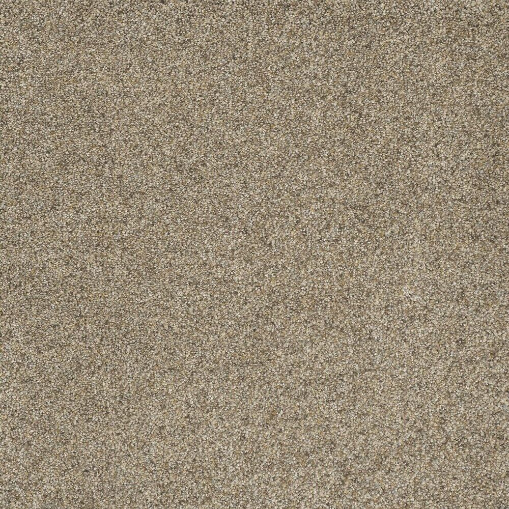 Penthouse Amberwood carpet
