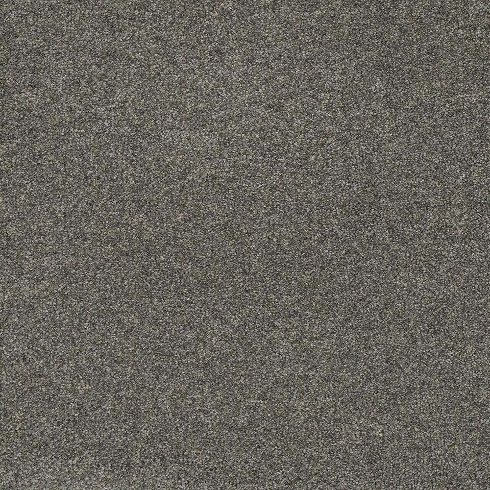 Penthouse Anchors Aweigh carpet