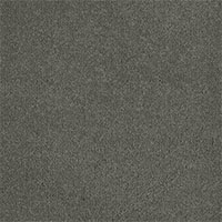 Pinnacle carpet in Clover