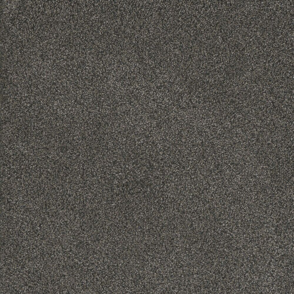 Sanctuary carpet in Burnt Amber
