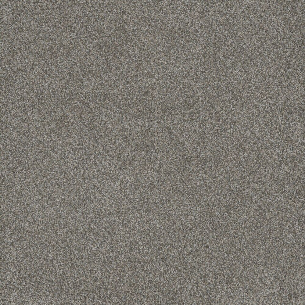 Sanctuary carpet in Dogwood