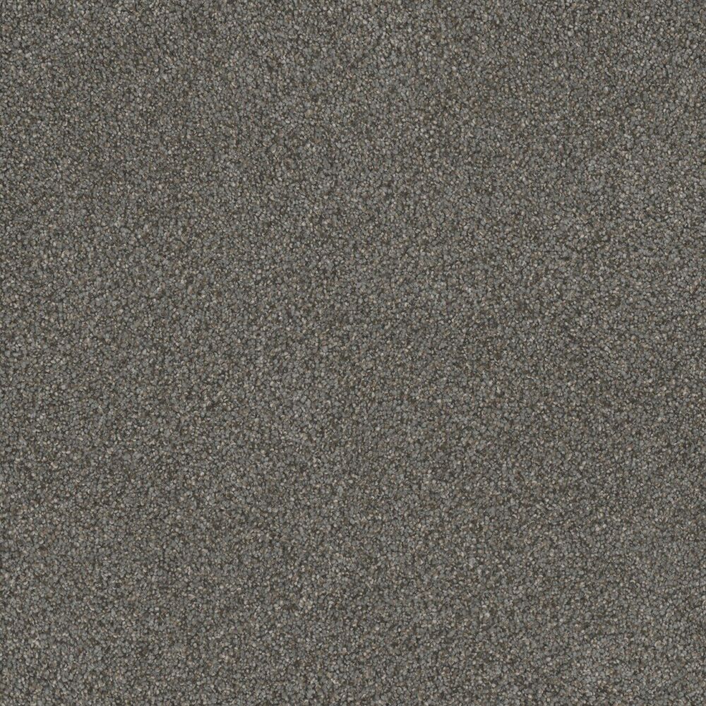 Sanctuary carpet in Meadow Dance