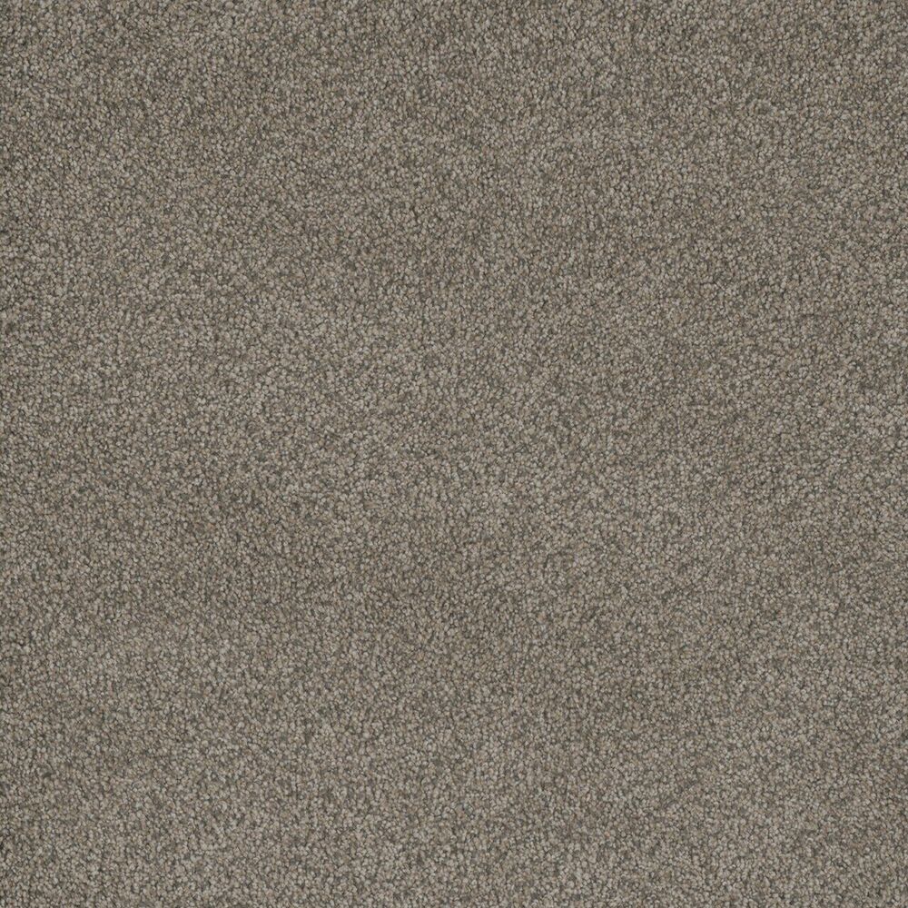Sanctuary carpet in Umber