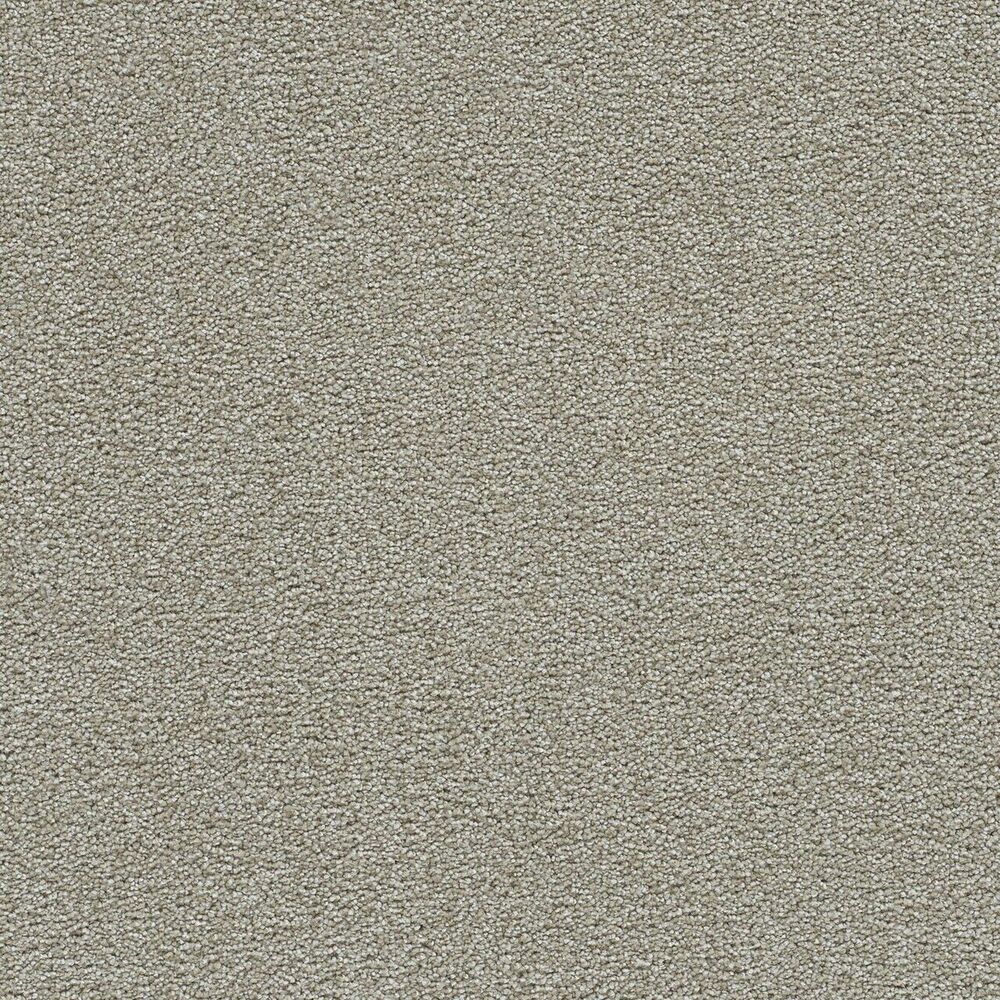 Shangri-La carpet in August Grove