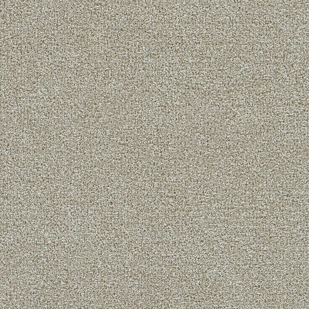 Shangri-La carpet in Barnwood