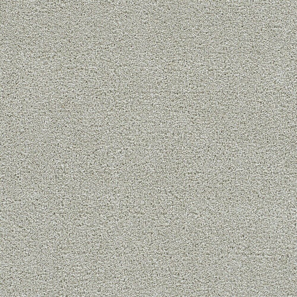 Shangri-La carpet in Brightwater