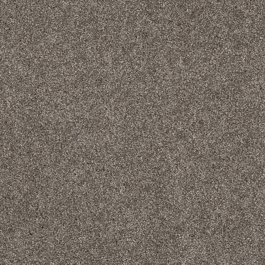 Southern Comfort Ashes carpet, color 00501