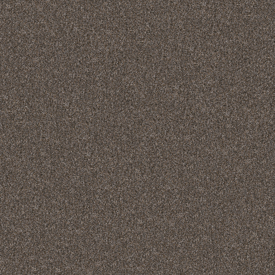 Southern Comfort Cafe Noir carpet, color 00706