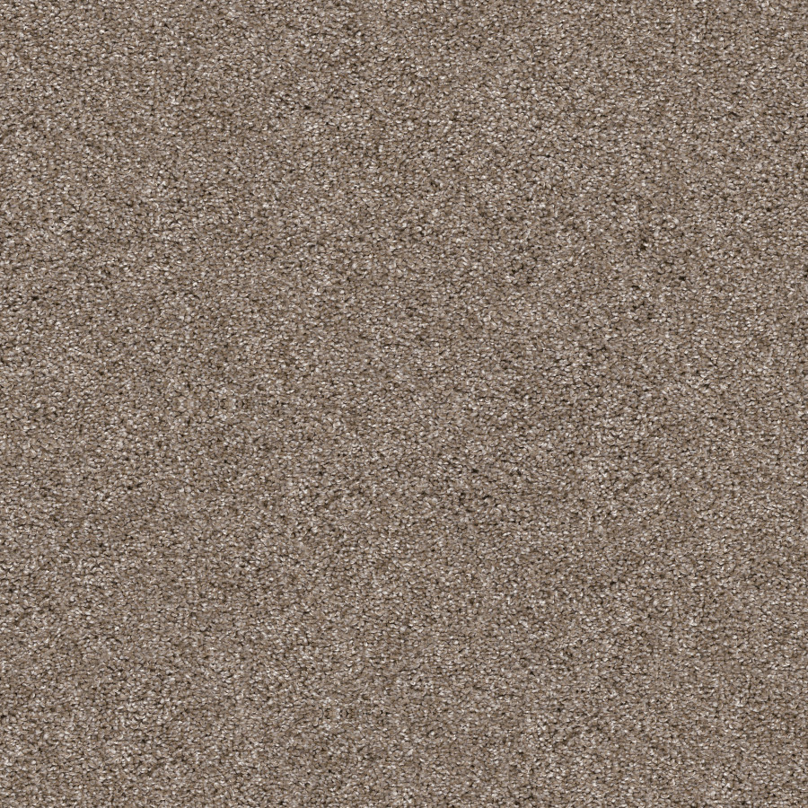 Southern Comfort Cameo carpet, color 00113