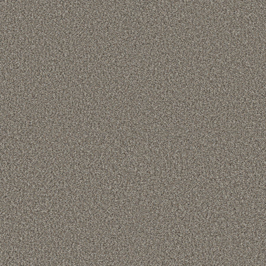 Southern Comfort Chic Greige carpet, color 00111