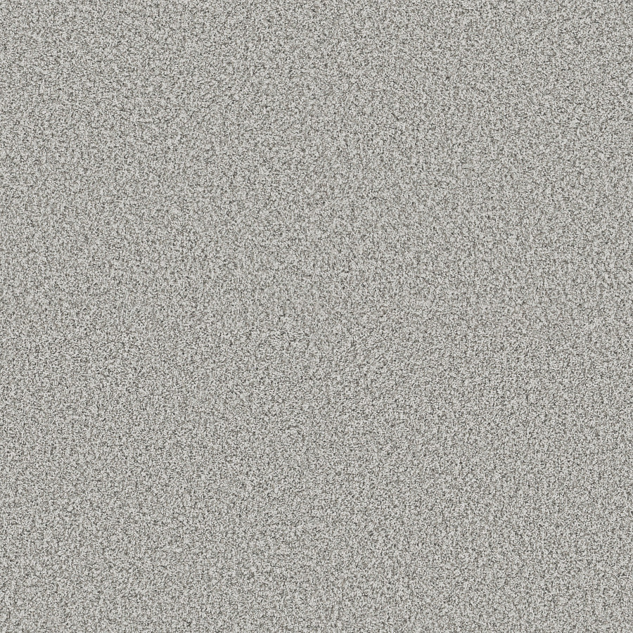 Southern Comfort Frozen carpet, color 00107