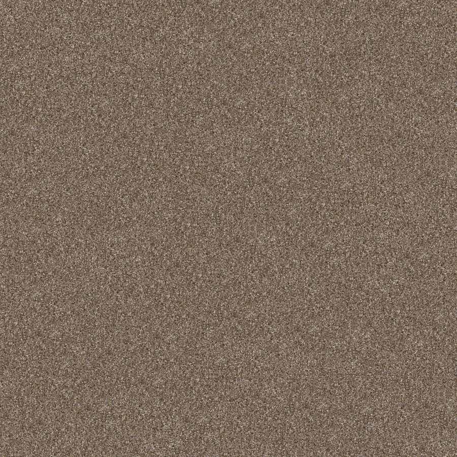 Southern Comfort Honeycomb carpet, color 00207