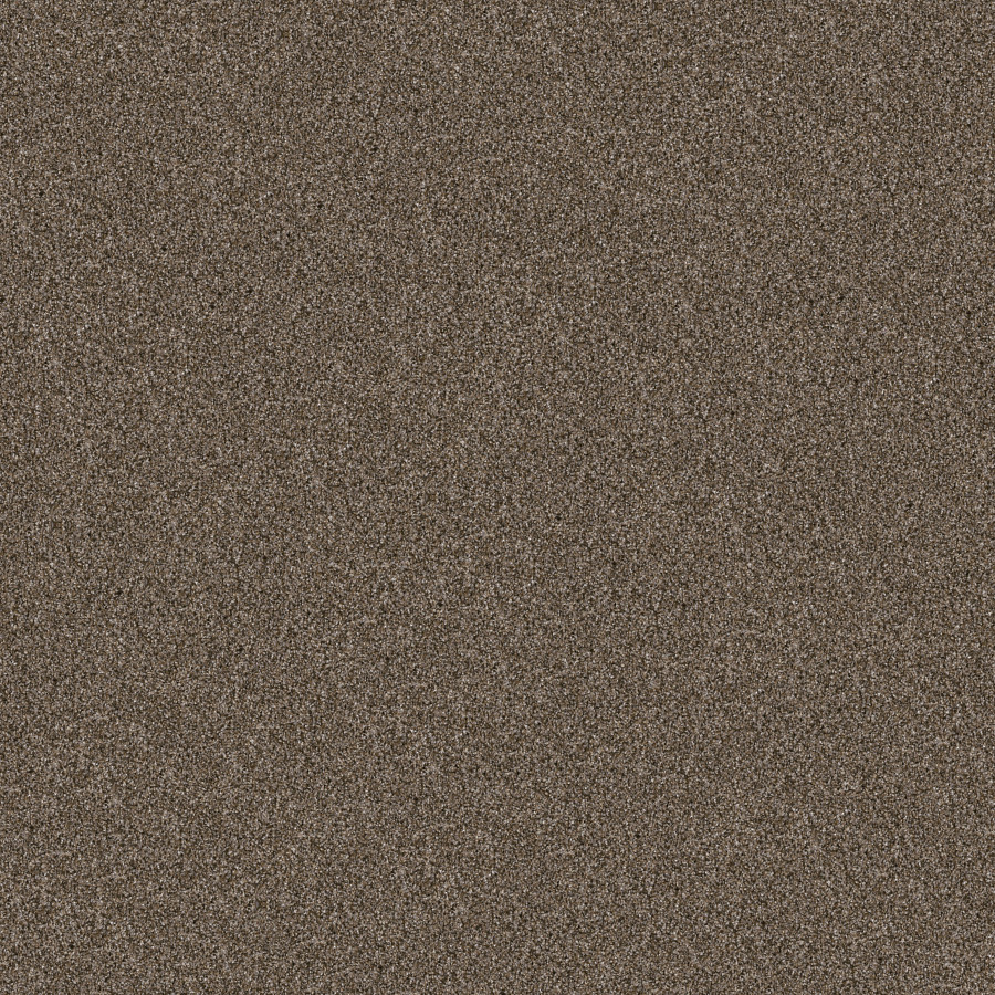 Southern Comfort Mission Ridge carpet, color 00705