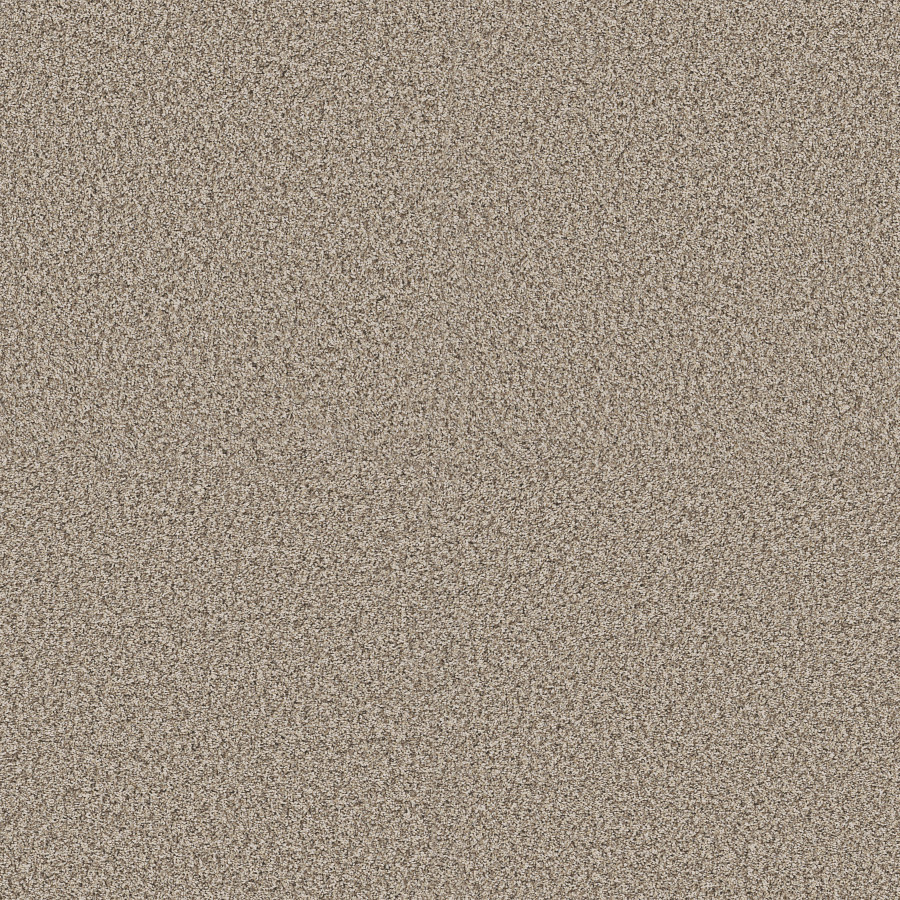 Southern Comfort Natural carpet, color 00109