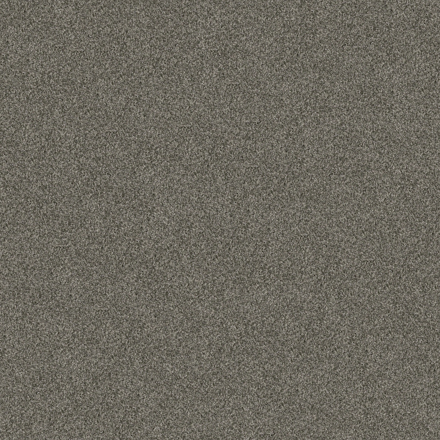 Southern Comfort Rerooted Nature carpet, color 00300