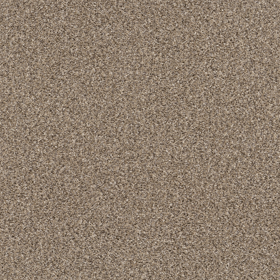 Southern Comfort Sea Shell carpet, color 00100