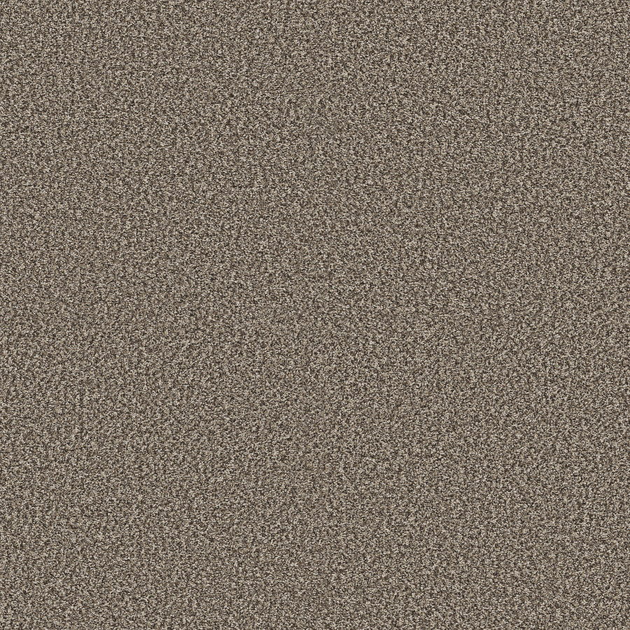 Southern Comfort Soft Sense carpet, color 00112