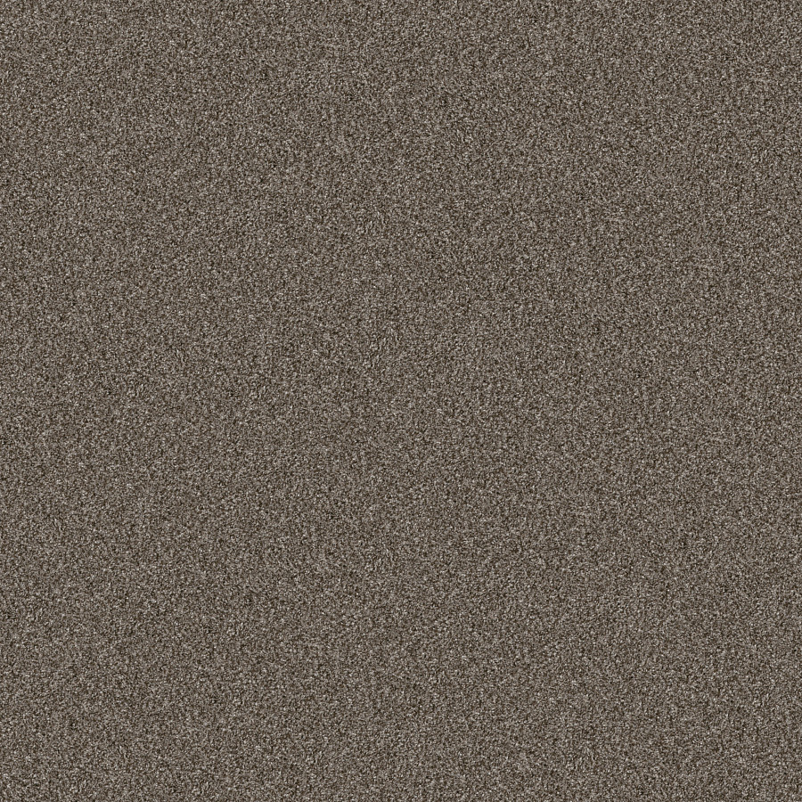 Southern Comfort Urban Rustic carpet, color 00708